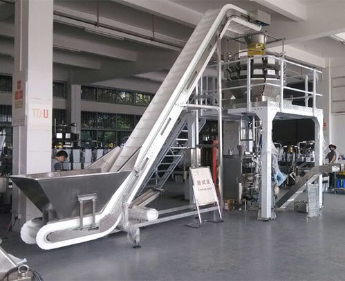 安徽天之業(yè) 以智能包裝機(jī)械賦能速凍產(chǎn)業(yè)，助力青島企業(yè)高效節(jié)省人力